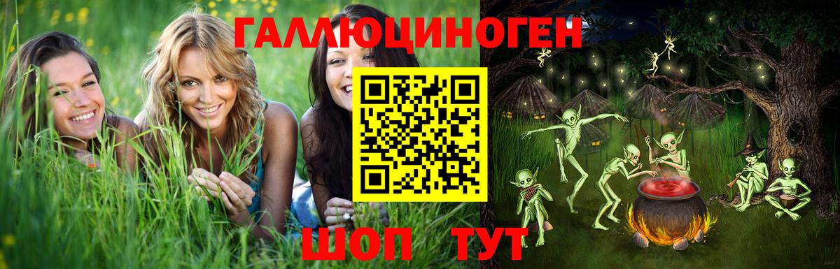 Галлюциногенные грибы мухоморы Артёмовский
